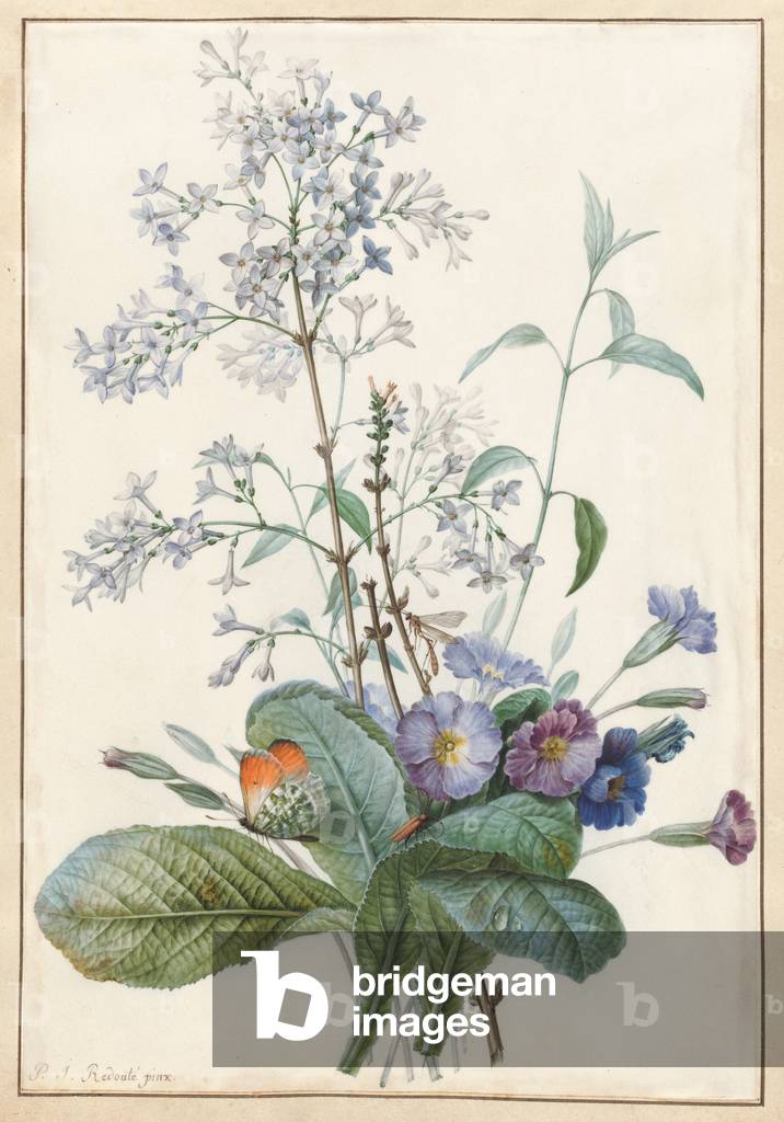 Ein Blumenstrauß mit Insekten (w/c mit Gold auf Pergament)