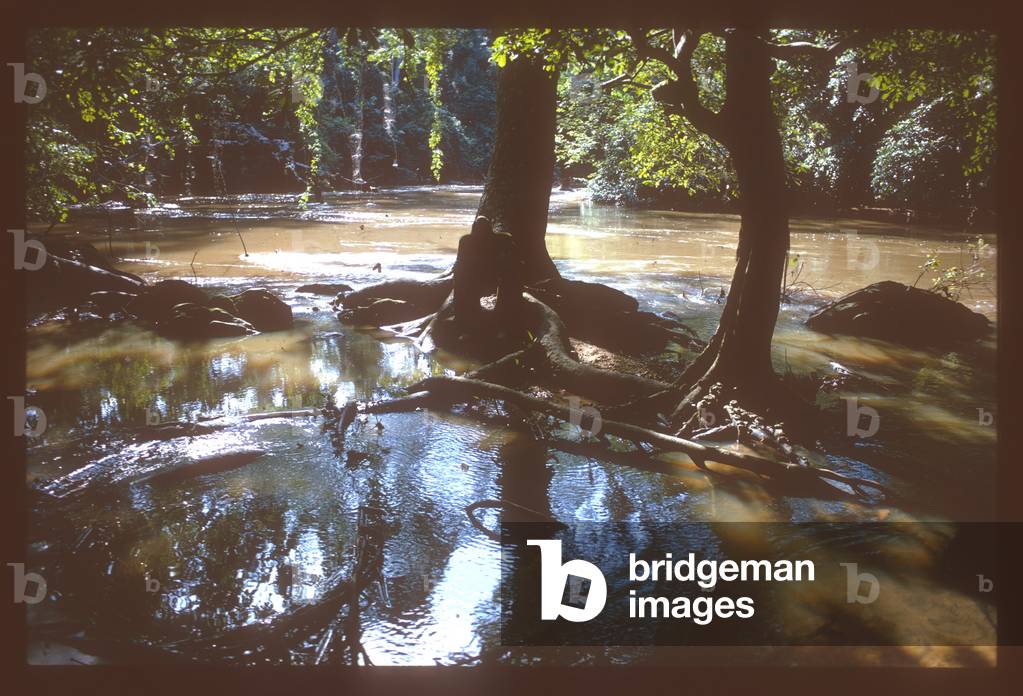 Bild von Fotografie "Oshun (Fluss)" von Juliet Highet