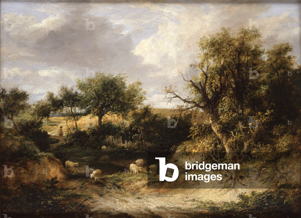 Bewaldete Landschaft (Öl auf Leinwand)