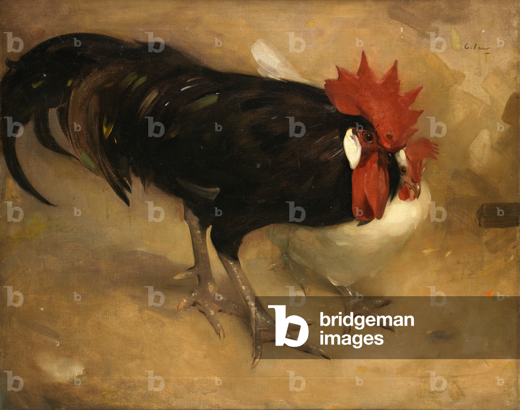 Immagine di Dipinto "Il gallo nero (olio su tela)" di Andrew Law