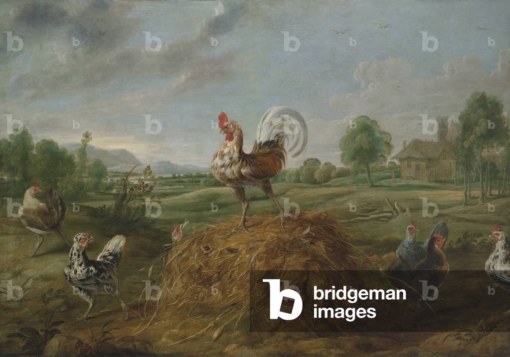 Il gallo e la perla olio su tela