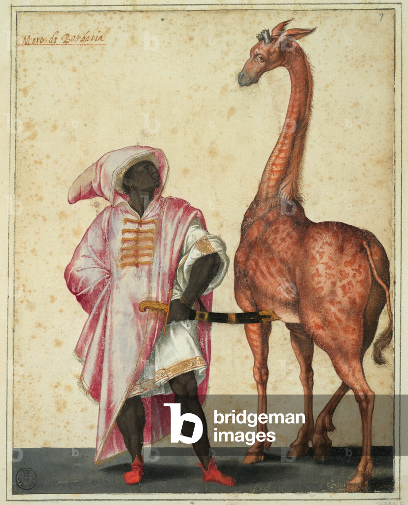 Berber with a giraffe (drawing)