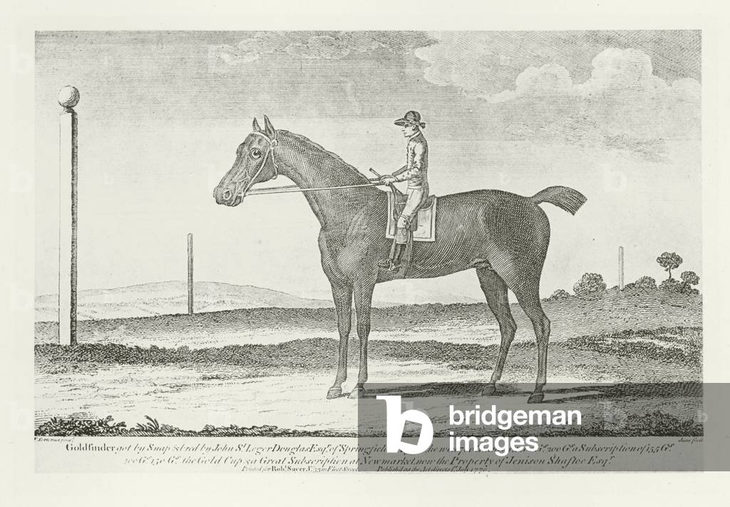 Goldfinder, puledrato 1764 (foto in b/n)