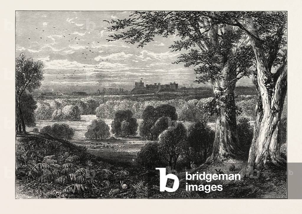 Image of Engraving depicting The Castle