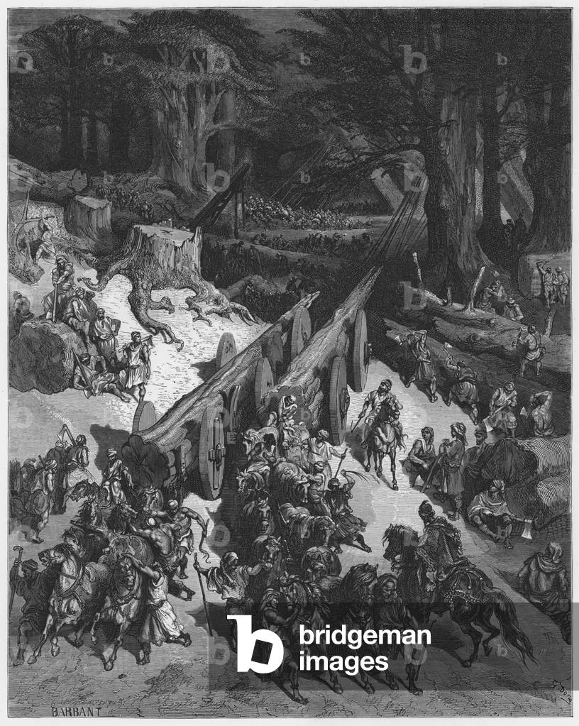 "Gustave Dore Bible: taglio di cedri per la costruzione del tempio (incisione)" di Gustave Dore, b/w