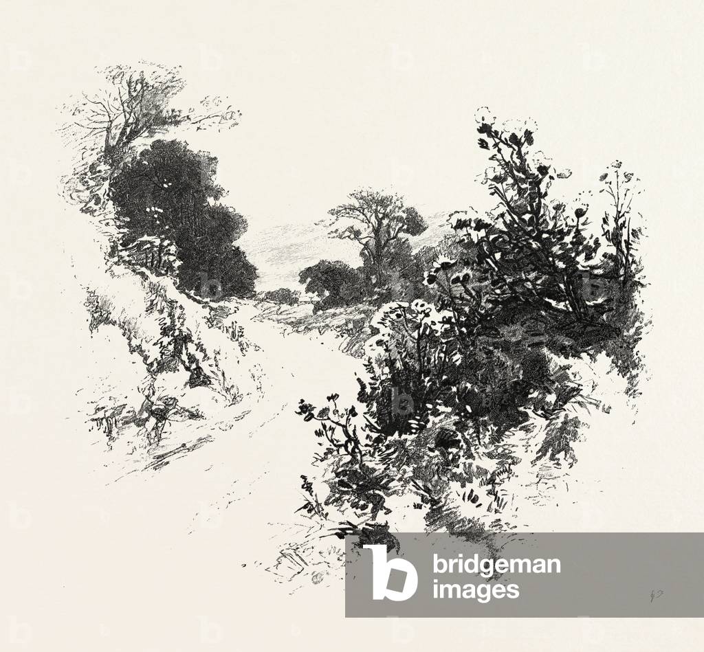 Bild von Gravur "A Roadside Sketch" 1801 von Unknown Artist