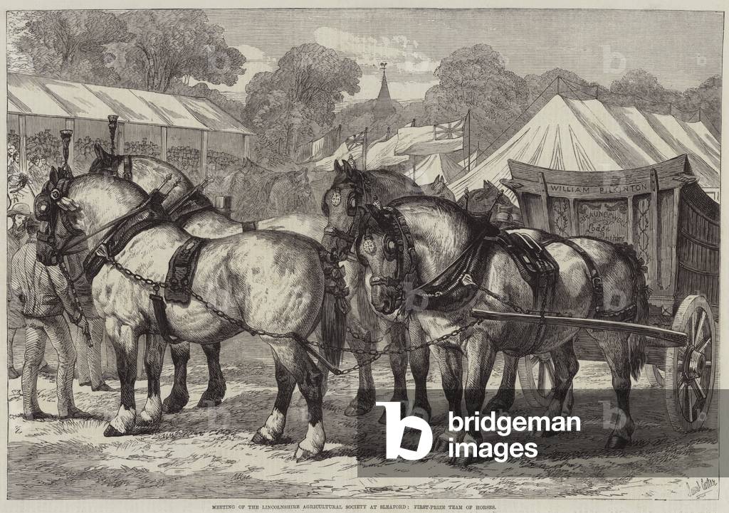 Meeting of the Lincolnshire Agricultural Society at Sleaford, First-Prize Team of Horses (engraving)
