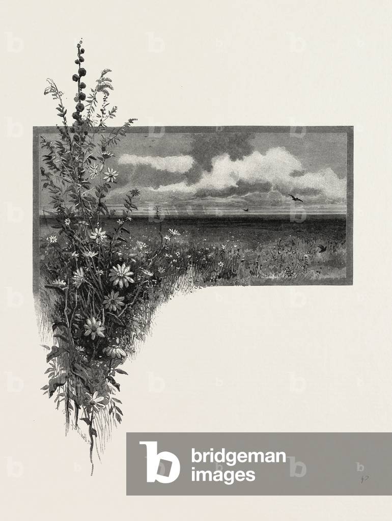 Image of Engraving depicting Manitoba