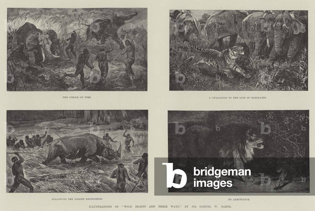 "Illustrationen von “Wild Beasts and their Ways”" 1890 von English School