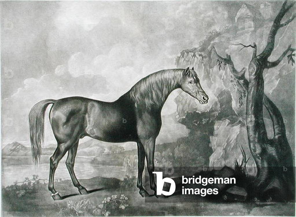Brown Horse Mask, after George Stubbs, 1773 (mezzotint)