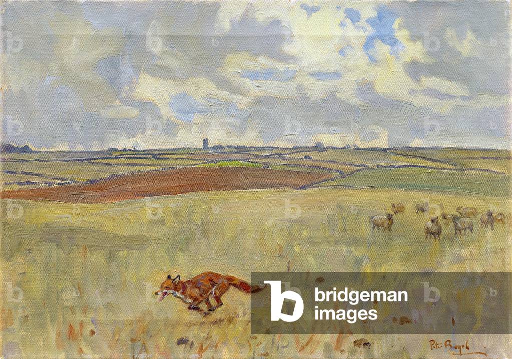A Fox on the Run - Gidding Windmill in the Distance (oil on canvas)