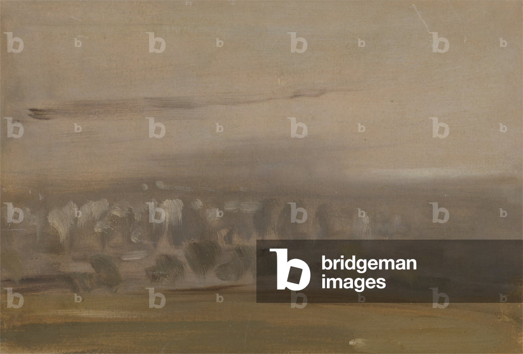 Landscape with Trees on a Slope (Wooded Valley, seen through Mist) previously attributed to J.M.W. Turner (1775-1851) and also attributed to Peter de Wint (1784-1849) (oil on paper)
