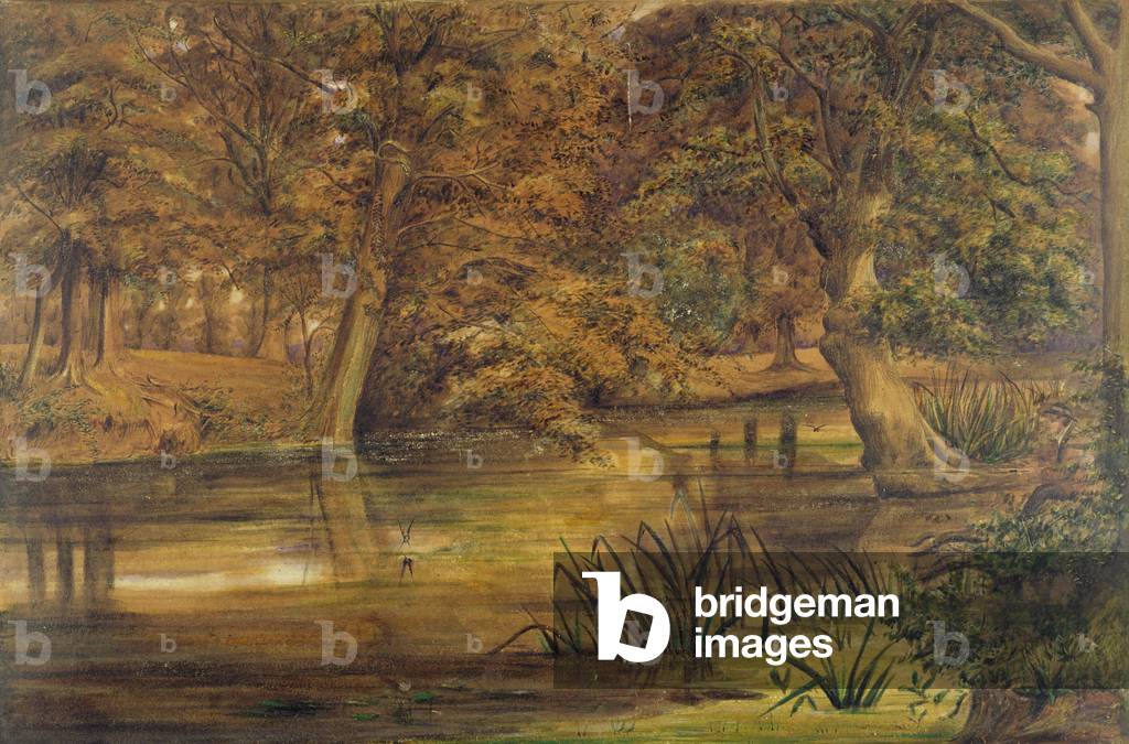 Back Water of the Bratford, 1864 (w/c and pencil on paper)