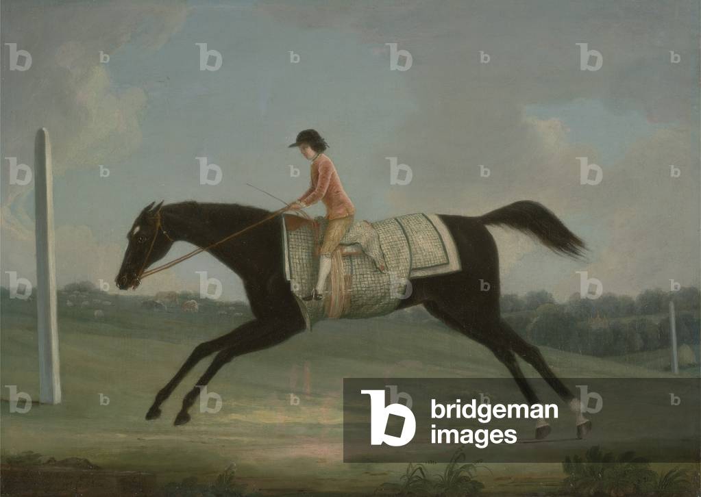 Borlase Cokayne as a Boy riding Sultana, 1751 (oil on canvas)