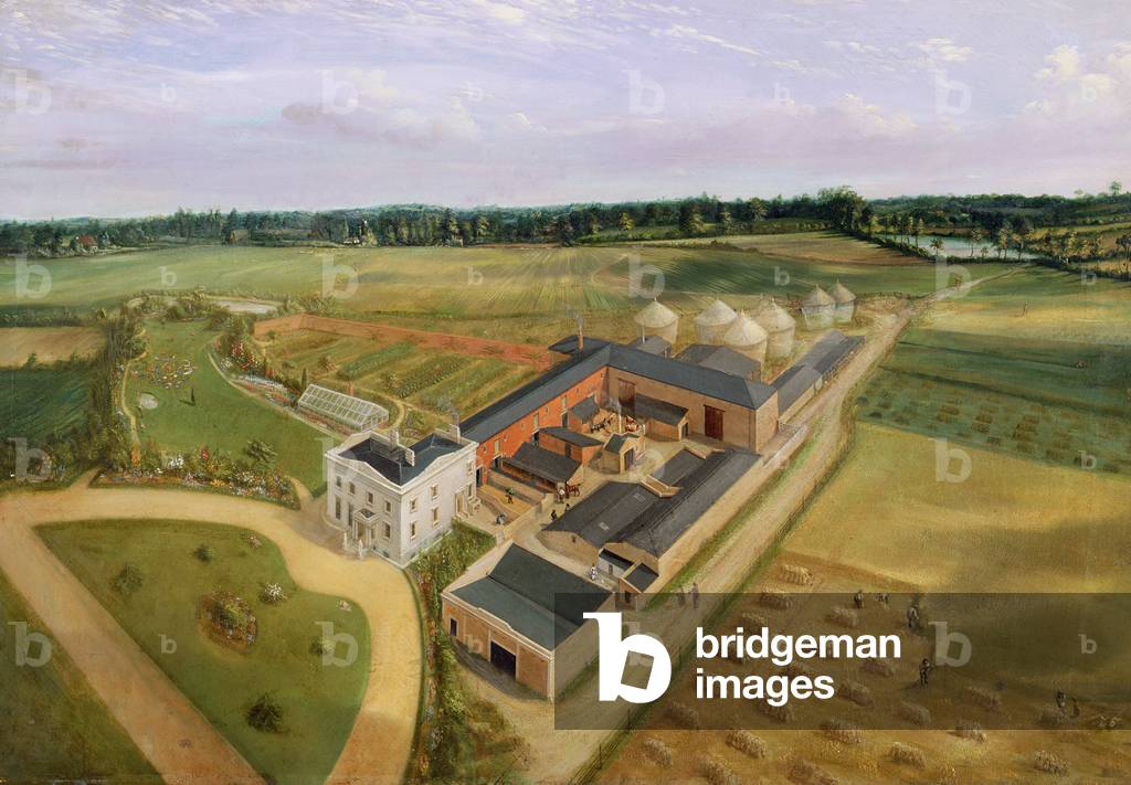 Immagine di Dipinto "Tiptree Hall and Farm", 19th Secolo di William Brown
