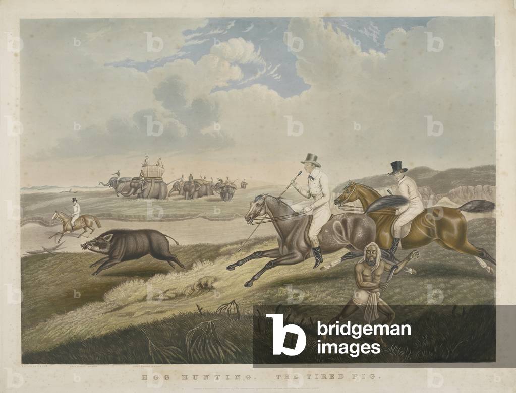 Hog Hunting: The Tired Pig, engraved by S.W. Fores (1785-1825) c.1840 (hand-coloured aquatint)