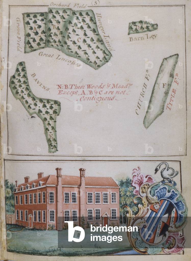 Page 8, from 'A Survey of the Estate of John Plampin, Esq.', 1774 (pen & ink with w/c and gouache on paper)