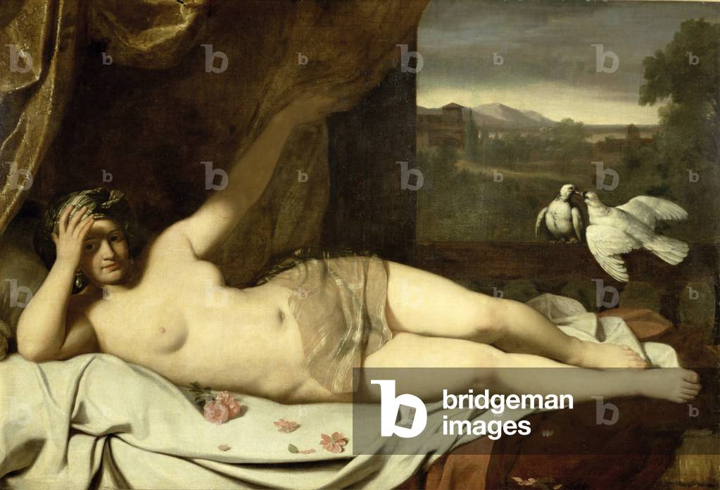 Venus (Öl auf Leinwand)