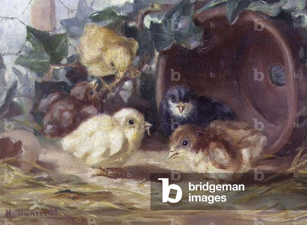 Fünf Hühner (Öl auf Leinwand)