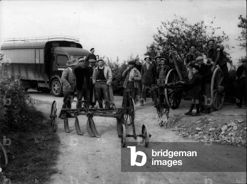 Oct. 13, 1953 - French Peasants Protest Against the” Tumble” of Prices in Agriculture: Peasants of the centre of France are Unsatisfied. Because the prices in Agricultural have tumbled Down too Much. In order to Protest, They just Fenced the Roads Up. The Peasants of St. Firmin and St. Sulpice (Nievre) have Fenced the road.