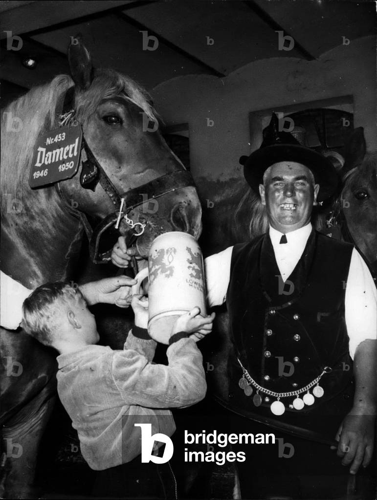 Oct. 04, 1953 - Giving names to horses in Munich: At the day of the protection of animals in the whole world at the occasion of the birthday of st. Frances of Assisi, the world known Munich loewenbrauerel (lion's brewer) gave to 62 of its very original Bavarian names. our picture shows” Damel” just doing a deep drought out of a huge Lowenbrau beer-jug.
