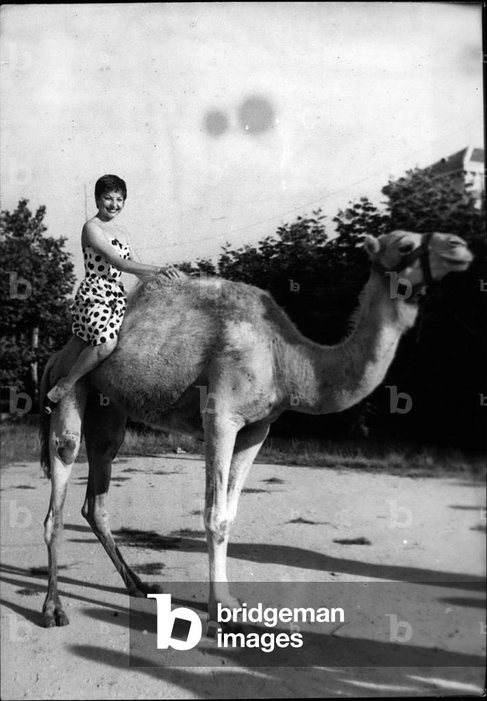 Sep. 01, 1953 - Ballerina JeanMarie on a camel