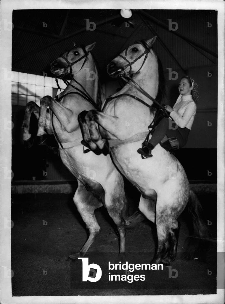 May 12, 1953 - Rehearsing for the Christmas Circus at Ascot... Unique Spanish Horse Act... Keystone Photo Shows: Miss Joan Fowles of Liverpool on right on” Decaedido” and Miss Phyllis Allan on left of Aberdeen on” Gauna” of the 'Quadruple Spanish Haute Ecole' act - during a rehearsal this afternoon for the Bertram Mills Christmas Circus at Ascot.