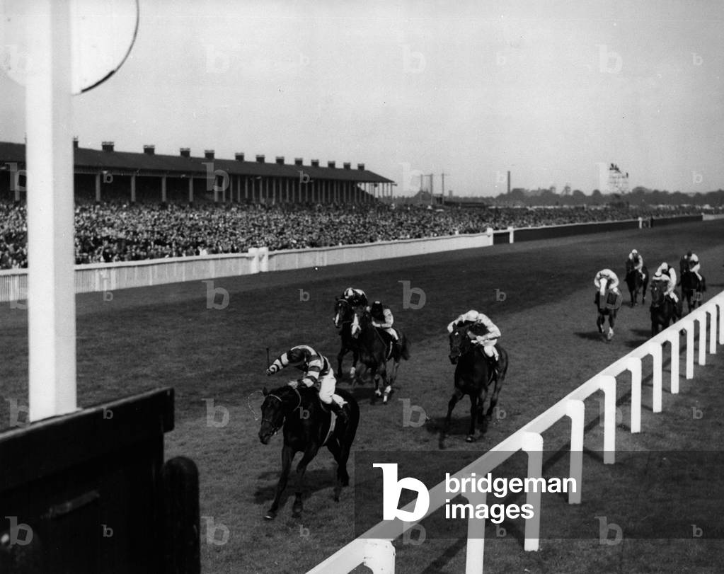 Sep. 09, 1953 - Queen seen her horse Aureole Beaten into third place in the St. Leger: H.M. The Queen was at Doncaster this afternoon and saw her horse Aureole beaten into third place by Premonition - with Northern Light second