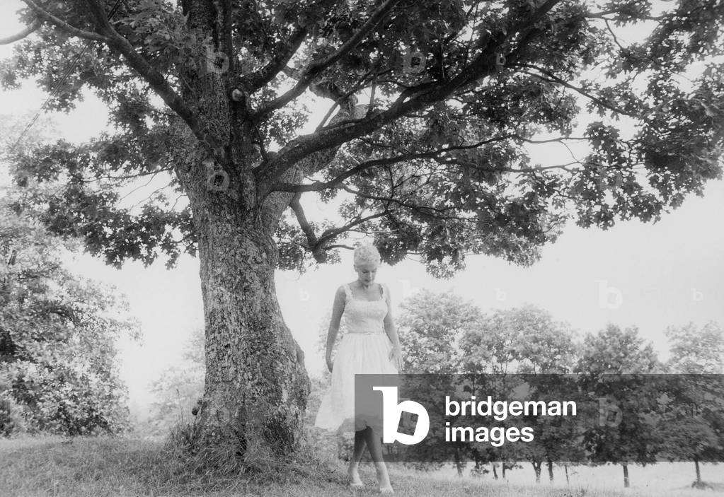 Marilyn Monroe in the property of her husband Arthur Miller, Roxbury, Connecticut, USA,  c.1957 (photo)