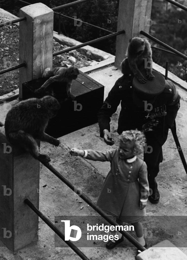 May 05, 1954 - Royal family at Gibraltar. Visit to the Barbary apes.: Photo shows little Princess Anne seen offering a titbit to one of the famous Barbary Apes, during the Royal Family's visit at Gibraltar today